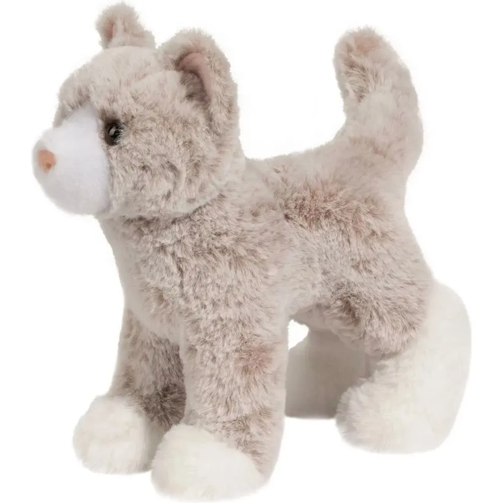 Abby tan cat 4038